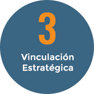 Vinculación Estratégica